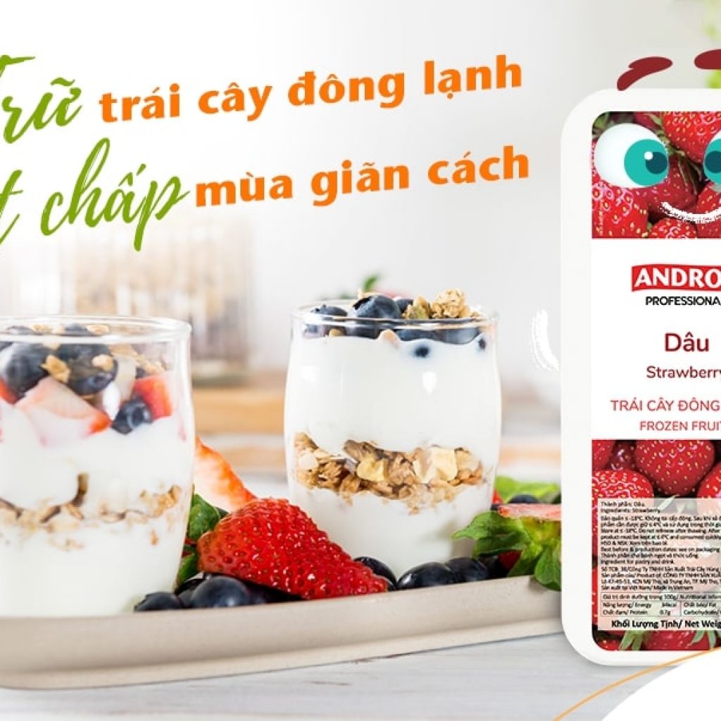 andros trái cây đông lạnh dâu