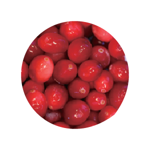 cranberry