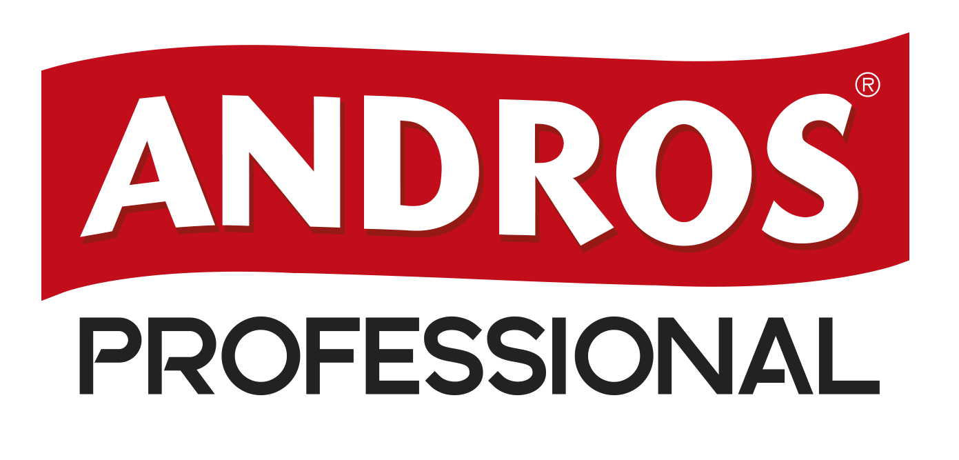 logo andros professional cn